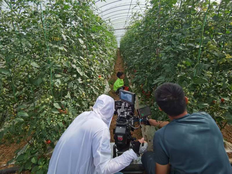 乾县产品宣传视频拍摄公司进阶指南，助力品牌抢占传播高地